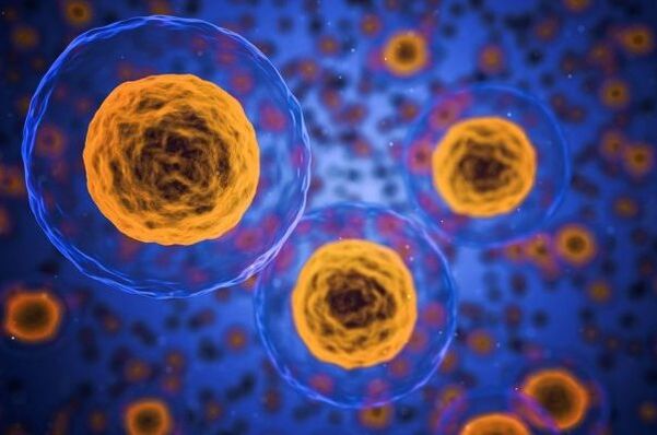 How does the weight loss process occur